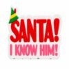 Christmas Sidekick featuring bold red “SANTA!” lettering above pink “I KNOW HIM!” text, accented with a green and yellow elf hat on a white background.